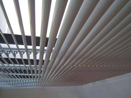 �̳��綯������Ҷ����