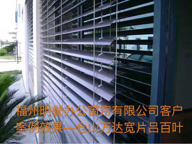 ��ɽ����Ƭ����Ҷ