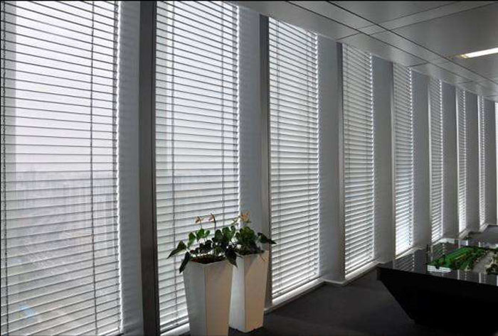 ���ݰ칫����֮�����Ұ�Ҷ����Ч��ͼ