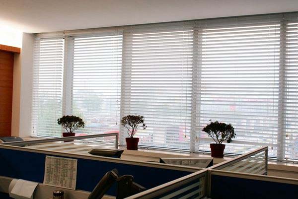 ���ݰ칫�Ұ�Ҷ������װЧ��ͼ